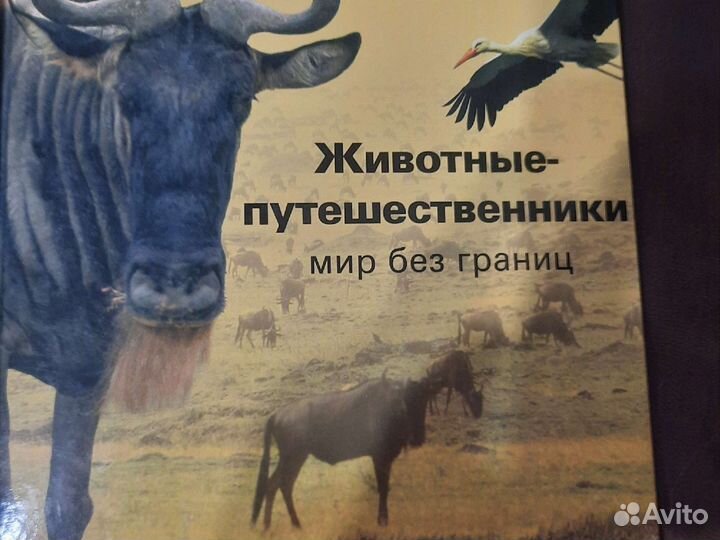 Книги энциклопедия