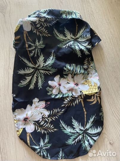 Рубашка для собак