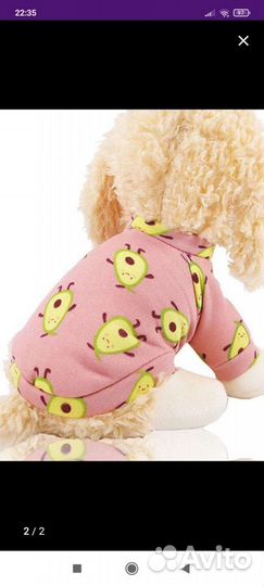 Одежда для собак