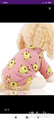 Одежда для собак