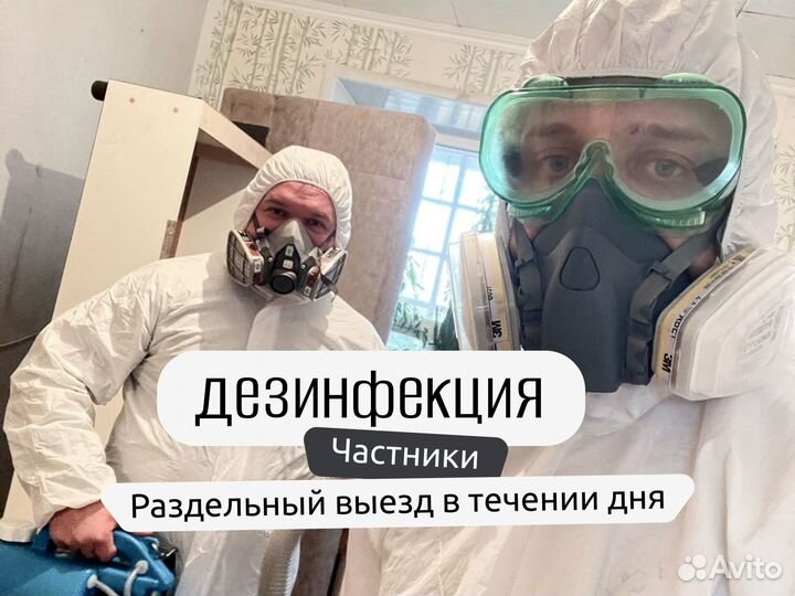 Дезинфекция. Уничтожение, травля, обработка