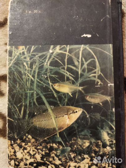 Аквариумное рыбоводство