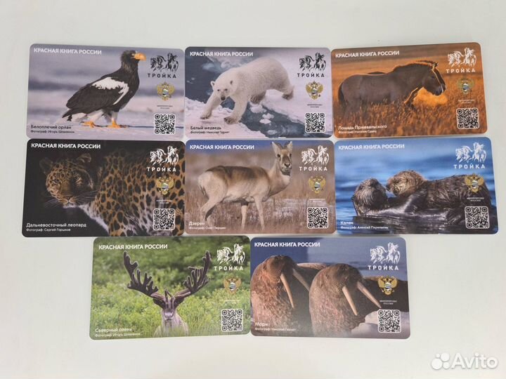 Коллекционные карты тройка Красная книга России