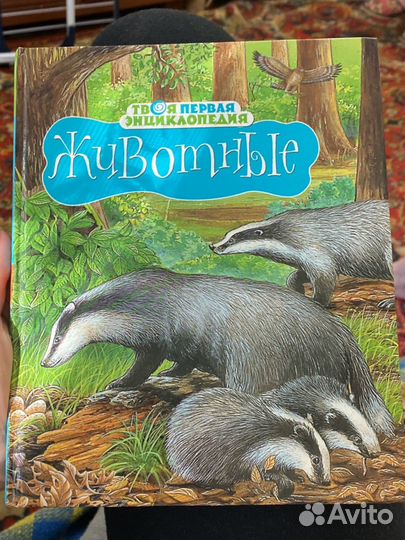 Твоя первая энциклопедия животные