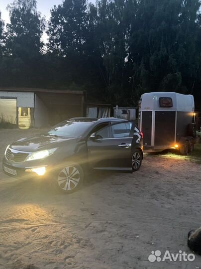 Конеперевозки 5 голов, коневоз, лошади, крс