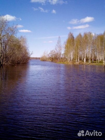 Аренда лодочных мест