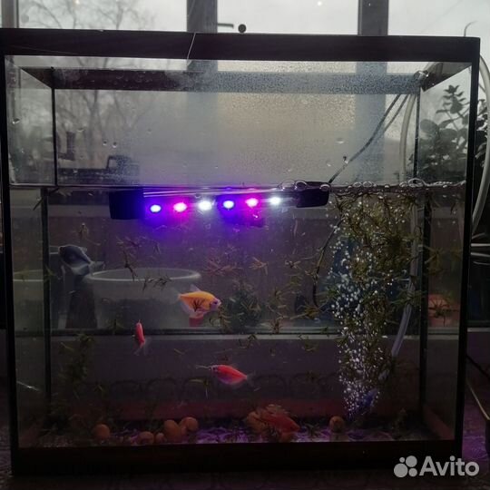 Аквариум