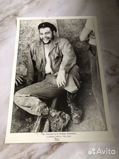 Фото-плакаты : 