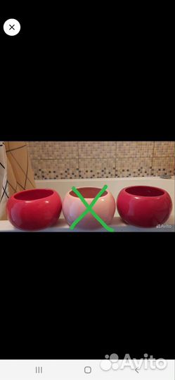 Для суккулента