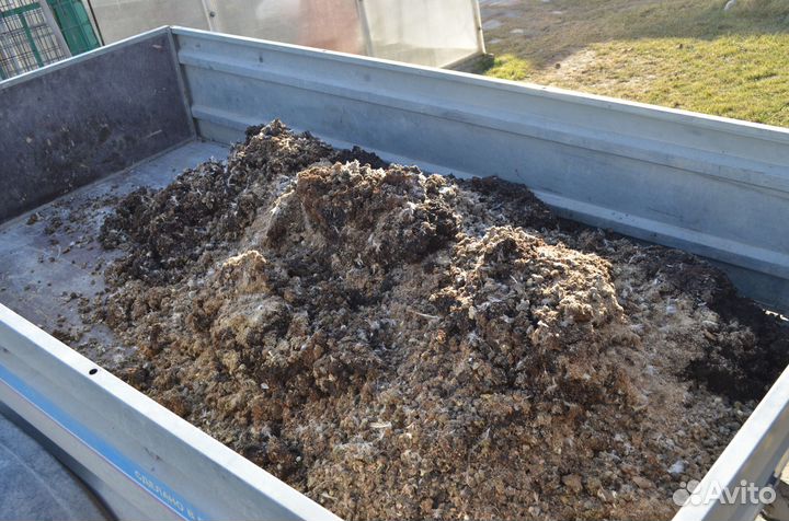 Перепелиный помёт с опилками