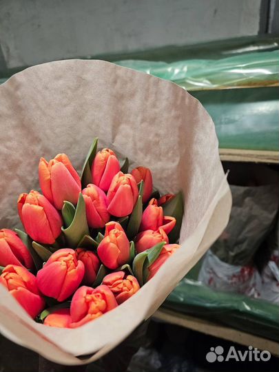 Тюльпаны на 8 марта