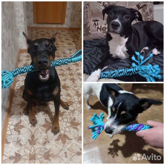 Игрушки для собак