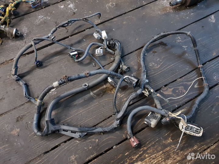 Коса жгут фары lexus gs 3 300 gs300 gs400 gs430