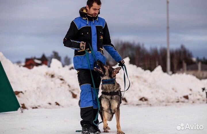 Кобель немецкой овчарки для вязки