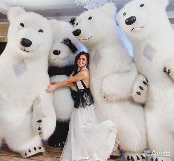 Аниматор Полярный белый мишка + шарики с гелием