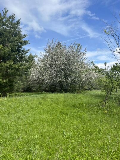 Участок 8 сот. (ИЖС)