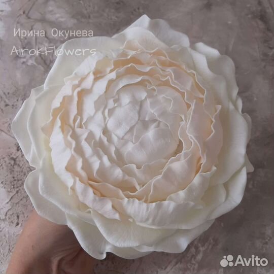 Брошь гигантская