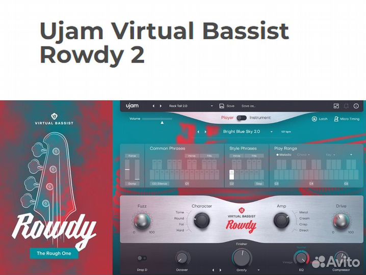 Ujam Virtual Bassist Rowdy 2 VST лицензия
