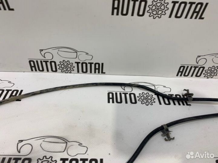 Проводка птф Chevrolet Lacetti F14D3 2009