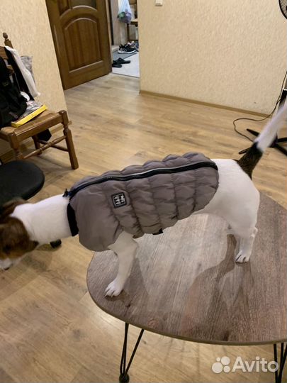 Курточка для собаки 35 см