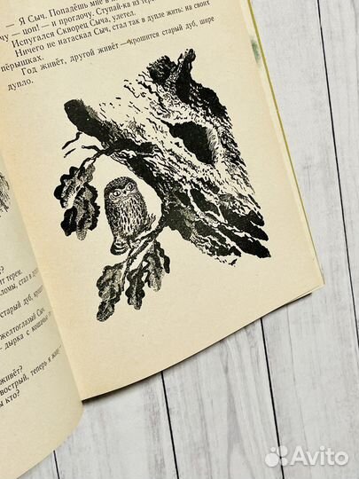 В. Бианки. Рассказы и сказки (1964)