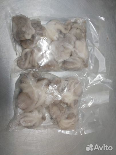 Осминожки Молодые