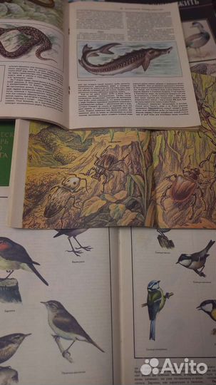 Книги по биологии