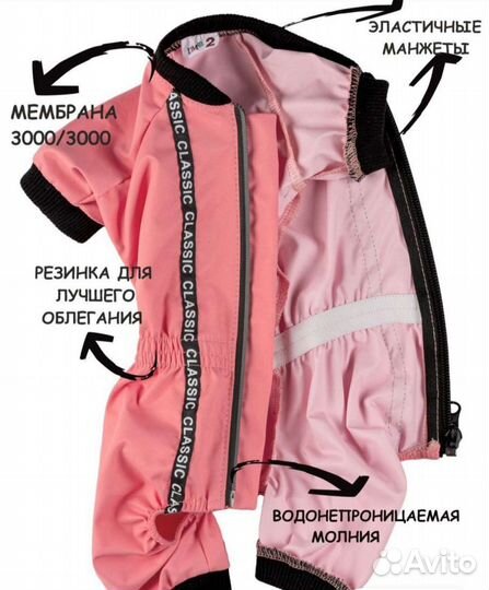 Одежда для собак мелких пород