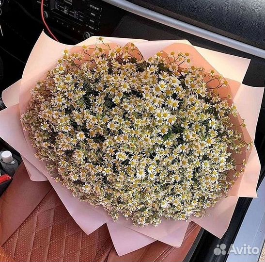 Ромашки Букет из ромашек доставка