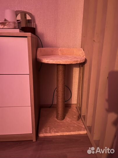 Когтеточка столбик жгутовая