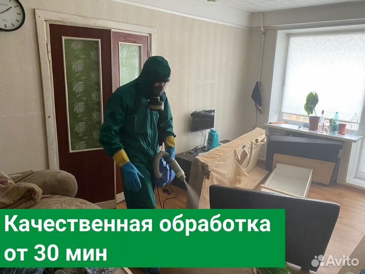 Уничтожение клопов тараканов Обработка от клещей