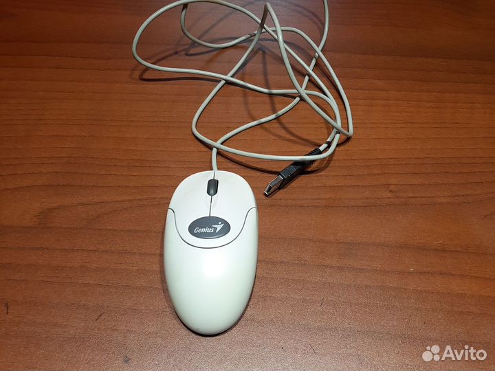 Мышь genus совсем новая