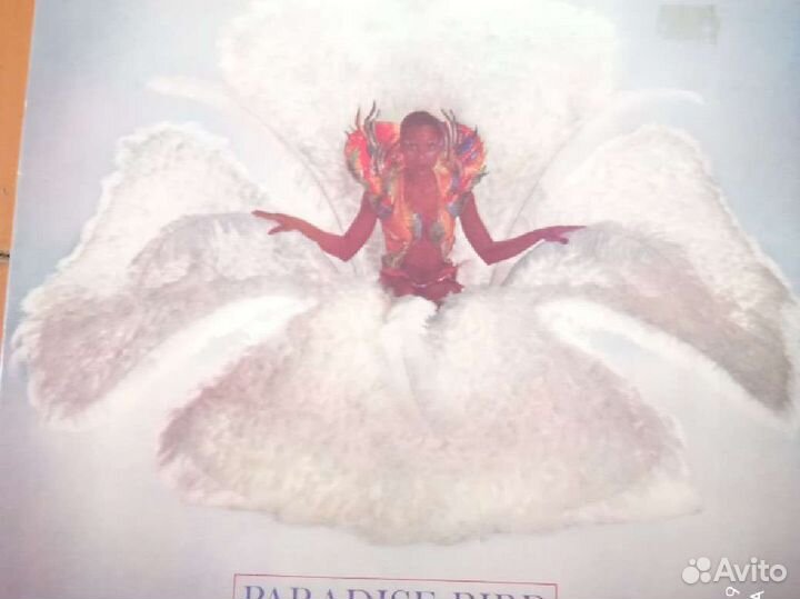 Граммпластинки