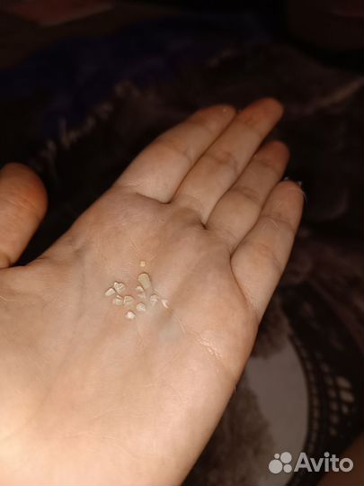 Ветеринарный фельдшер