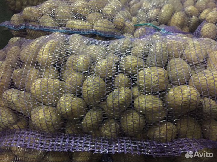 Продам картофель с доставкой