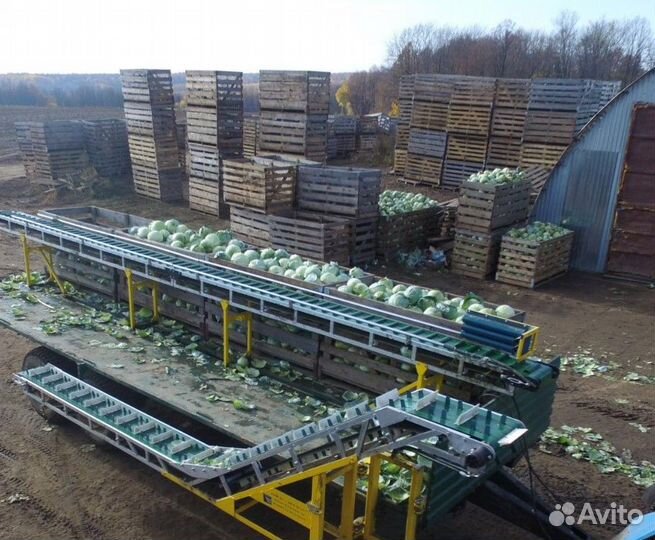 Подборщик Asa Lift SL-122E, 2023