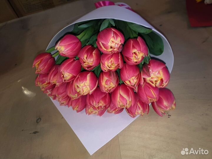 Луковицы тюльпанов для выгонки