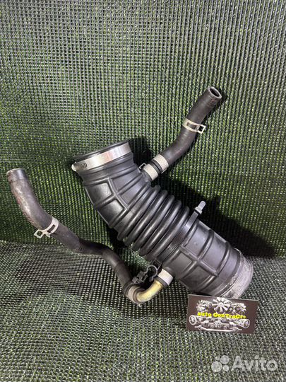 Гофра Воздушного Фильтра nissan primera P11 SR20DE