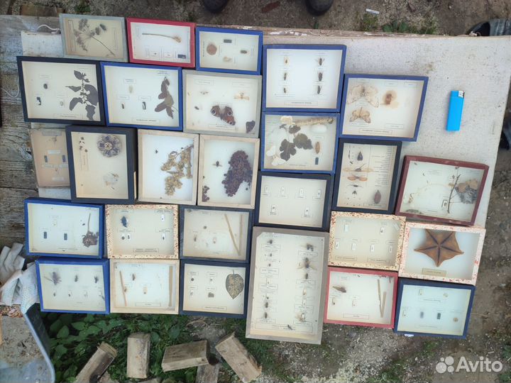 Наглядные пособия СССР