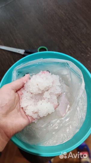 Индийский морской рис