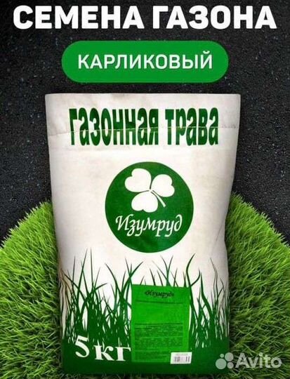 Газонная трава