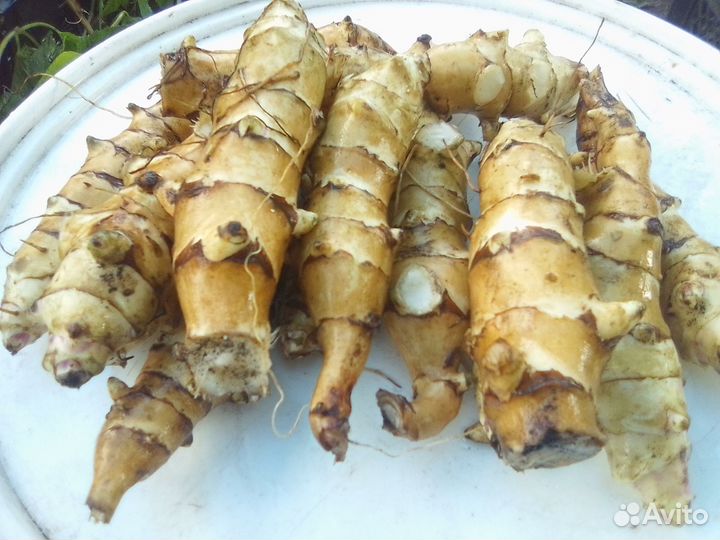 Яблоки. тыква,топинамбур с доставкой