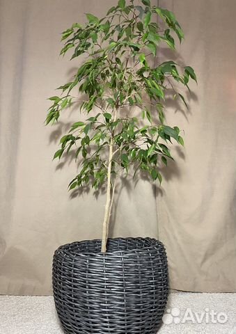 Кашпо из искусственного ротанга