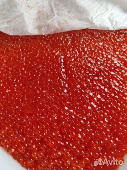 Красная икра Кета