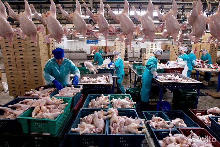 Ящик пластиковый овощной новый от Производителя