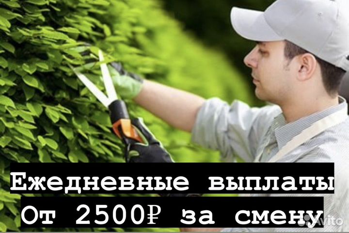 Разнорабочие на озеленение