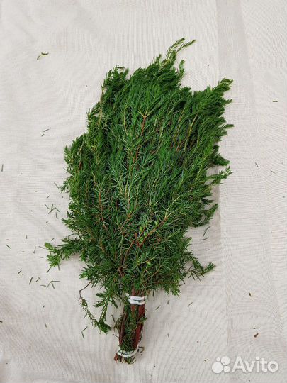 Веники для бани берёзовые дубовые пихтовые 2023