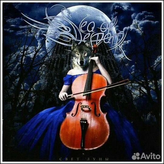 CD обновлено. фирма, лицензия, пираты