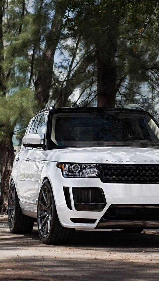 Land Rover Discovery: фото владельца