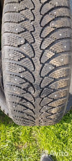 Cordiant Polar SL 205/55 R16